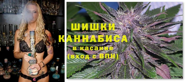 ешки Бородино