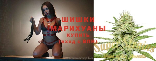 ешки Бородино