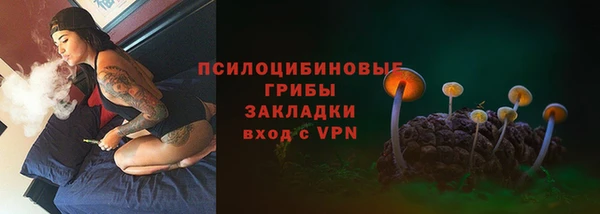 ешки Бородино