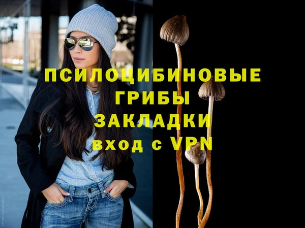 ешки Бородино