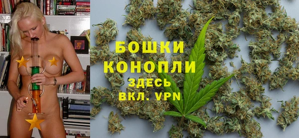 ешки Бородино