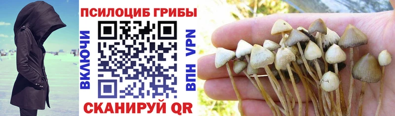 Галлюциногенные грибы Magic Shrooms  дарк нет состав  Буинск 